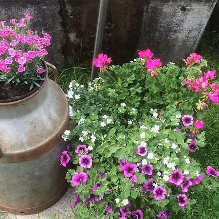 Woelk Lejlighed Sonthofen